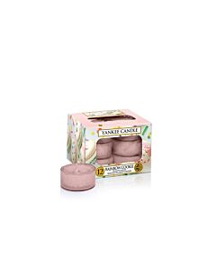 Yankee Candle Rainbow Cookie Pack Of 12 Tea Lights